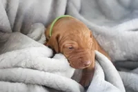 processed/2fd4286a-d102-4c54-a77a-8950c8d497e8/listing/e9ae9f4b-a225-4e9e-ae63-a4f93eaede74/f957ebdf-027c-4efb-8bb6-5994904a0400