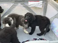 processed/2fd49a72-5043-4986-b084-b2ecfd7dfc71/listing/7574ee3b-bde7-4e08-8464-f49312b7952b/00eeb0b6-dc63-453d-98cd-78bb0c4c3402