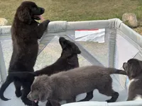 processed/2fd49a72-5043-4986-b084-b2ecfd7dfc71/listing/7574ee3b-bde7-4e08-8464-f49312b7952b/27c90831-3161-4bed-8d6d-2bfcfe2722df