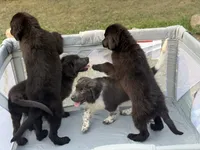 processed/2fd49a72-5043-4986-b084-b2ecfd7dfc71/listing/7574ee3b-bde7-4e08-8464-f49312b7952b/df2055bd-72f6-42dd-806e-bb76ca3d4429