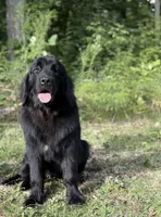 processed/2fd49a72-5043-4986-b084-b2ecfd7dfc71/listing/b27e77ef-b31e-4ede-a1ea-c7e71c7825d7/0af7d8fc-1581-4df8-9b4b-a4e46fb3cc58