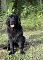 processed/2fd49a72-5043-4986-b084-b2ecfd7dfc71/listing/b27e77ef-b31e-4ede-a1ea-c7e71c7825d7/6ad04251-e0e2-49b0-a986-c168cc28b96b