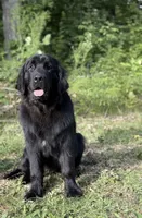 processed/2fd49a72-5043-4986-b084-b2ecfd7dfc71/listing/b27e77ef-b31e-4ede-a1ea-c7e71c7825d7/93e88260-159f-4274-99c5-dc3aee12dc8c