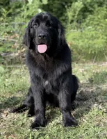 processed/2fd49a72-5043-4986-b084-b2ecfd7dfc71/listing/b27e77ef-b31e-4ede-a1ea-c7e71c7825d7/f2d52887-b3a7-44ee-96fa-8bedee965044