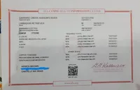 River, a male Labrador Retriever for sale in Oakville, WA – Photo 4 of 6