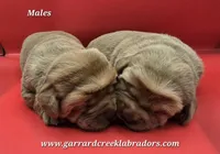 processed/2fdf5b31-4f25-430e-ba45-bf8b744952cb/listing/ea00b494-1452-4c3d-aff0-e155be919c54/0959e3e4-772e-48df-8e61-97fab3bfca78