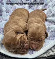 processed/2fdf5b31-4f25-430e-ba45-bf8b744952cb/listing/ea00b494-1452-4c3d-aff0-e155be919c54/8ce7e31f-6c61-4316-a573-85fb2ef04f7d