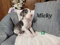 processed/2ff176ac-173b-43cf-876f-0727207b58af/listing/34261c0a-4137-43c9-bde7-955fa92d6e07/105abcde-b49c-45f9-b5d9-d15b47a93141