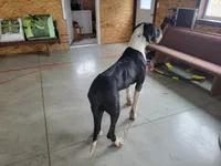 processed/2ff176ac-173b-43cf-876f-0727207b58af/listing/34261c0a-4137-43c9-bde7-955fa92d6e07/1ce75408-5743-4e68-8036-3dc246f59675