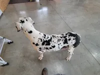 processed/2ff176ac-173b-43cf-876f-0727207b58af/listing/34261c0a-4137-43c9-bde7-955fa92d6e07/cf616dbc-7d15-4ad0-8930-56e27587c864