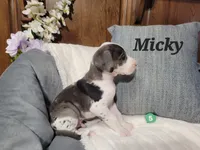 processed/2ff176ac-173b-43cf-876f-0727207b58af/listing/34261c0a-4137-43c9-bde7-955fa92d6e07/e1c25188-4ebc-4a79-abf5-d3c00319aaec