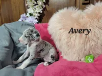 processed/2ff176ac-173b-43cf-876f-0727207b58af/listing/3547d4e1-9f11-45b0-bd24-0fb480638e0a/70c73aa4-b6ea-4358-b319-1ccb42419503