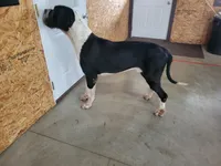 processed/2ff176ac-173b-43cf-876f-0727207b58af/listing/3547d4e1-9f11-45b0-bd24-0fb480638e0a/892a81d4-1b26-4693-944d-b42e7ebfd333