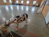 processed/2ff176ac-173b-43cf-876f-0727207b58af/listing/3547d4e1-9f11-45b0-bd24-0fb480638e0a/8b27356c-5356-4e45-8d96-84bec3f0049b