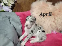 processed/2ff176ac-173b-43cf-876f-0727207b58af/listing/3888c962-c6d0-494d-afe1-dbe1caa7996c/36ac0538-5df4-4e1e-9250-249e7fc435b2