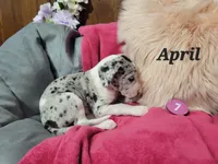 processed/2ff176ac-173b-43cf-876f-0727207b58af/listing/3888c962-c6d0-494d-afe1-dbe1caa7996c/96367639-58de-41f3-8137-483be691fa26