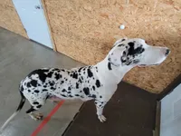 processed/2ff176ac-173b-43cf-876f-0727207b58af/listing/3888c962-c6d0-494d-afe1-dbe1caa7996c/bd8b42cd-44aa-4d85-8c52-b511acd5b4ef