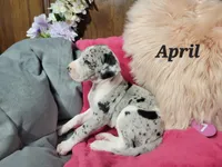 processed/2ff176ac-173b-43cf-876f-0727207b58af/listing/3888c962-c6d0-494d-afe1-dbe1caa7996c/d3e40b20-cb45-4ffd-bef1-4314e0adfe4c