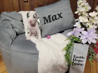 processed/2ff176ac-173b-43cf-876f-0727207b58af/listing/a6667151-8090-4fc1-8142-3bc419fa737d/a92aa36b-d51f-4431-b99f-e5147be90370