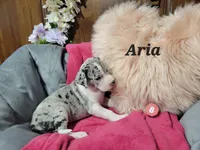 processed/2ff176ac-173b-43cf-876f-0727207b58af/listing/ad13297c-db3e-4987-8d65-7f5048feb383/b7b9ef6d-0a36-4c5d-8011-92b2a487c197