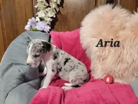 processed/2ff176ac-173b-43cf-876f-0727207b58af/listing/ad13297c-db3e-4987-8d65-7f5048feb383/bc3962ef-0bb6-4d5a-96d1-1a87f093e6d1