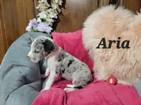 processed/2ff176ac-173b-43cf-876f-0727207b58af/listing/ad13297c-db3e-4987-8d65-7f5048feb383/d1934f37-5fe5-434c-9243-49d5f38b98dd