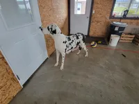 processed/2ff176ac-173b-43cf-876f-0727207b58af/listing/f2cf9133-cfca-49d5-88bc-322f3ec4b764/71219adc-d3cc-4ad7-b239-9e2d206bf424