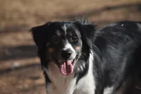 processed/3008cf45-ecc7-421a-a7f3-c0f2bffd7268/listing/fc1aac55-4e9f-4bfe-97ad-553d97879d34/d61c5927-fcca-4c77-8d4b-a8713304f65d