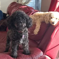 processed/3009e027-acdc-4681-9188-75fc74a60a67/facility/088a53ce-1c94-475c-886e-e7dac9c56de7