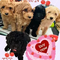 processed/3009e027-acdc-4681-9188-75fc74a60a67/facility/4136a290-c3e5-447f-98b4-476b013587b2