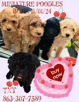 processed/3009e027-acdc-4681-9188-75fc74a60a67/facility/4136a290-c3e5-447f-98b4-476b013587b2