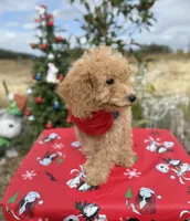 processed/3009e027-acdc-4681-9188-75fc74a60a67/listing/57c0ddec-127e-45de-a636-0cb3b7e1e75d/3d1c6af1-ee98-4cb4-9dbd-f950f9401558