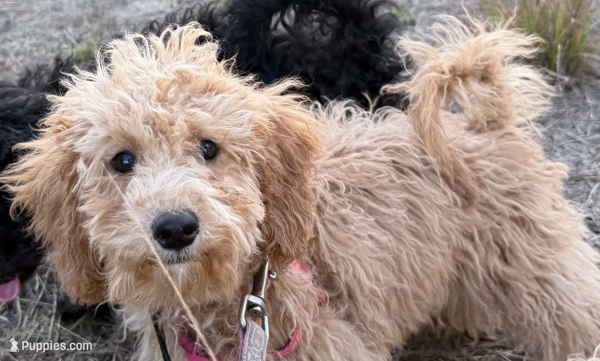 processed/3009e027-acdc-4681-9188-75fc74a60a67/listing/57c0ddec-127e-45de-a636-0cb3b7e1e75d/501c10da-ad44-404d-be86-3018ac67fd8f