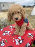 processed/3009e027-acdc-4681-9188-75fc74a60a67/listing/57c0ddec-127e-45de-a636-0cb3b7e1e75d/9a1ebd06-cbaa-4cad-8162-58e49a8c5073