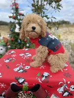 processed/3009e027-acdc-4681-9188-75fc74a60a67/listing/57c0ddec-127e-45de-a636-0cb3b7e1e75d/cc37a2a0-f81d-4bf2-a32f-00b1c1d4dbba