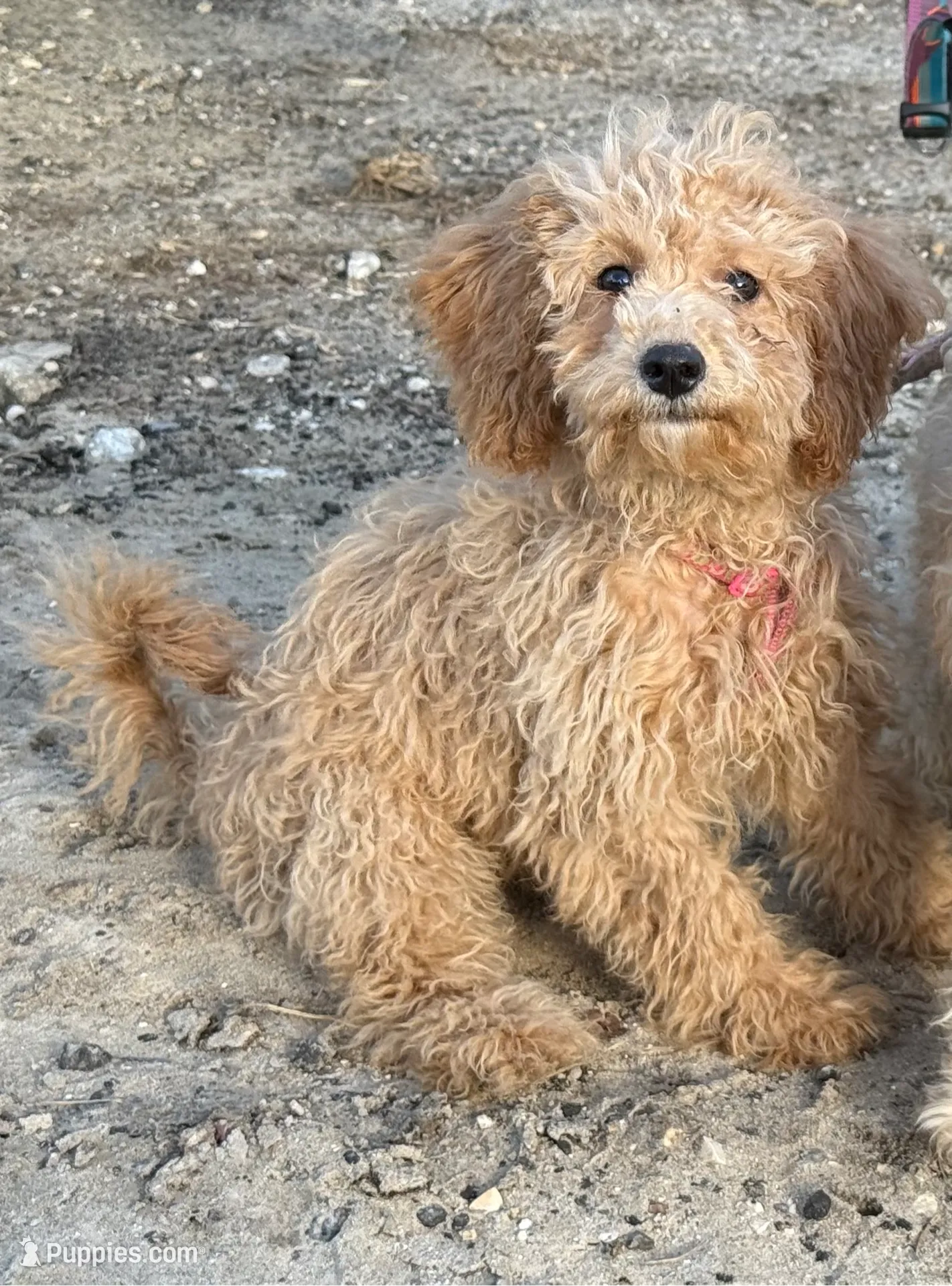 processed/3009e027-acdc-4681-9188-75fc74a60a67/listing/57c0ddec-127e-45de-a636-0cb3b7e1e75d/ead39509-f8d9-4e99-a594-c99469f0ffc9