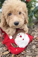 processed/3009e027-acdc-4681-9188-75fc74a60a67/listing/57c0ddec-127e-45de-a636-0cb3b7e1e75d/f9def9fd-aa5e-4be7-8e1f-f77a06e1d33e