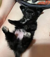 processed/3010ff02-4dd2-4562-82df-7d366420fb13/facility/5243950b-f120-4924-a6f0-94e8cd41b8bb