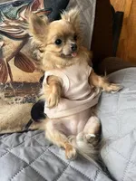 processed/3010ff02-4dd2-4562-82df-7d366420fb13/facility/71ce9a16-1683-42f0-b425-53a40728e2c7