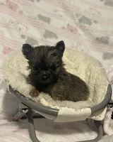 processed/3010ff02-4dd2-4562-82df-7d366420fb13/facility/a5a895d3-7818-41d6-9a80-084020433ed0