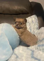 processed/3010ff02-4dd2-4562-82df-7d366420fb13/facility/b6578137-920d-48e5-af36-37e447b1b1b4