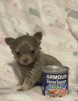 processed/3010ff02-4dd2-4562-82df-7d366420fb13/facility/bda9c9c6-8ce4-4b61-9d8a-3655a570ef91