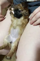 processed/3010ff02-4dd2-4562-82df-7d366420fb13/facility/bdac11f1-897a-4ce3-98f3-82029c0de465