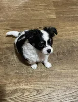 processed/3010ff02-4dd2-4562-82df-7d366420fb13/facility/ff3d4ee2-8aec-4f60-b210-d7df99614ac3