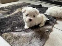 processed/3013baec-71fb-4cd9-a910-4a2c0296da06/listing/d6e0d06e-1f1b-4599-89ec-d7f198ec0181/2c145c51-968a-4cc9-adc0-5b54ca50468d