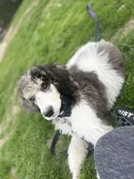 processed/3015719a-d2af-4eb7-941e-a3c777c9a19b/facility/06fab18e-7b36-4b35-8029-282a0fee6055