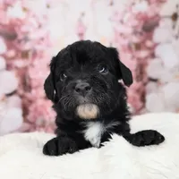 processed/3015d7df-753c-4399-9bf2-94b1185648ce/facility/452aeb46-6809-418f-b83b-139790d0bf0c