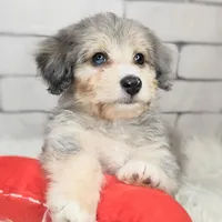 processed/3015d7df-753c-4399-9bf2-94b1185648ce/facility/76ebe556-c293-4c59-9326-b5c6aa91439f