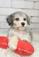 processed/3015d7df-753c-4399-9bf2-94b1185648ce/facility/76ebe556-c293-4c59-9326-b5c6aa91439f