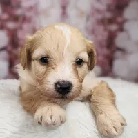 processed/3015d7df-753c-4399-9bf2-94b1185648ce/facility/77c2ba6d-5a9b-432e-914c-ea6ccb2109fc